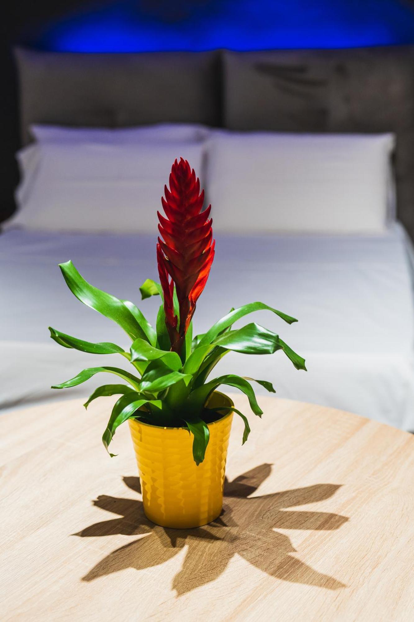 Arcolobello B&B Aparthotel Corato Kültér fotó